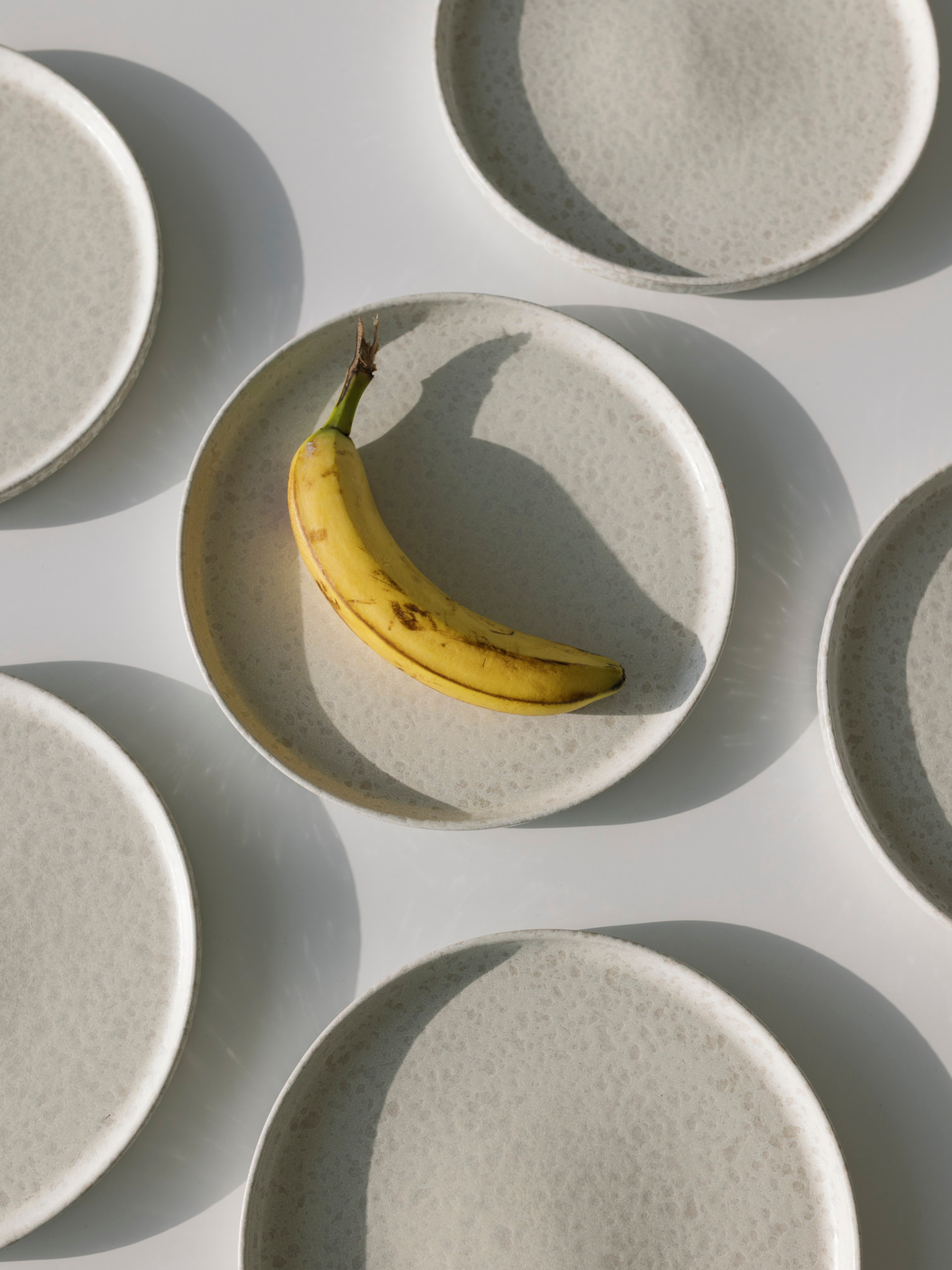 Bento Dinner Plate