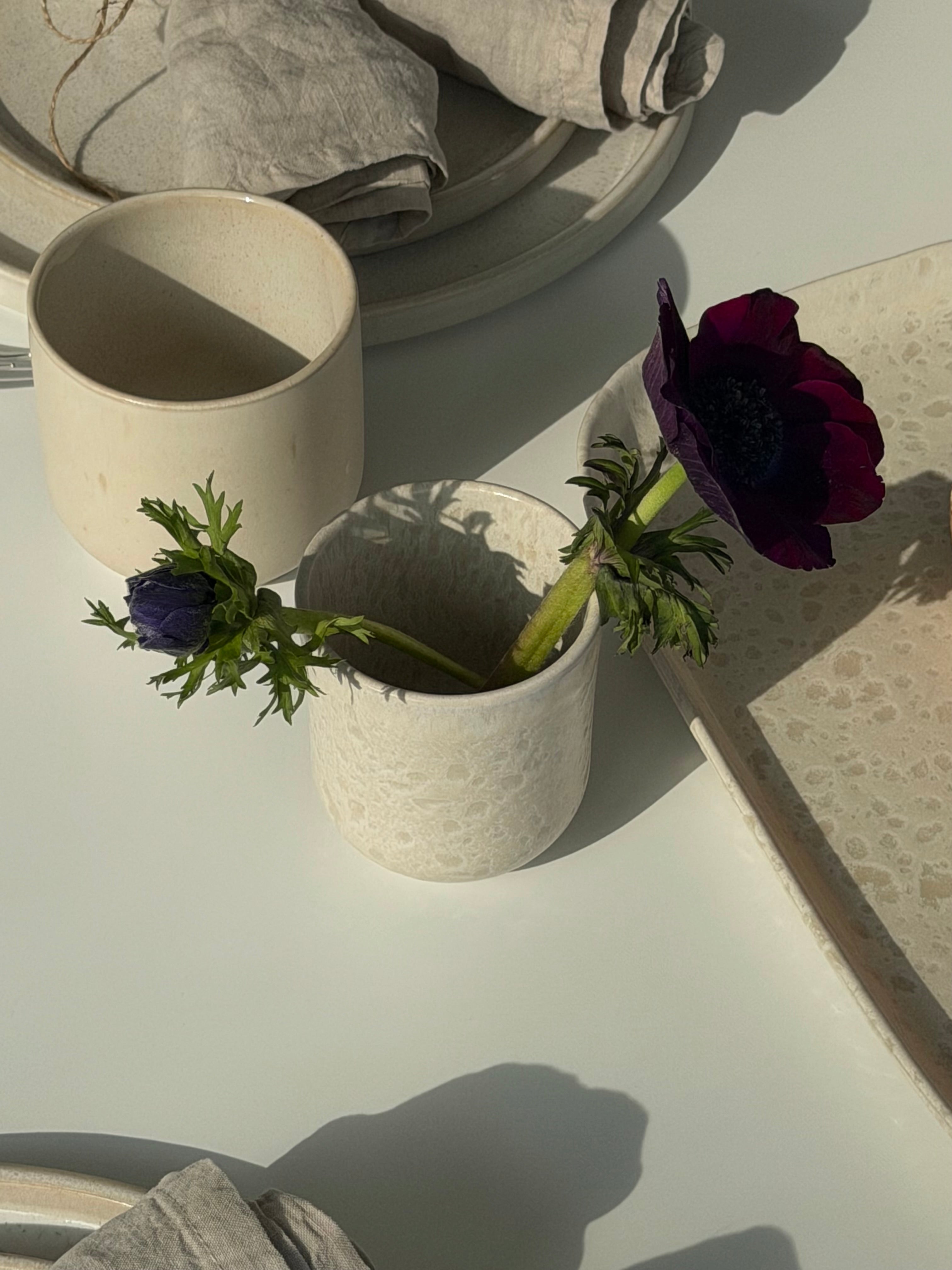 Bento set of 6 medium cups