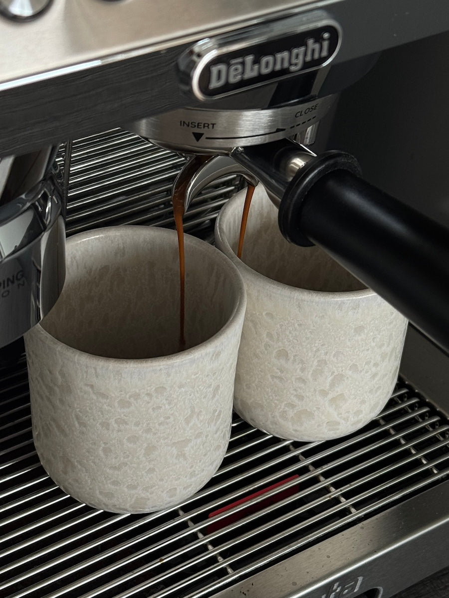 Bento 6er Set Becher mittel