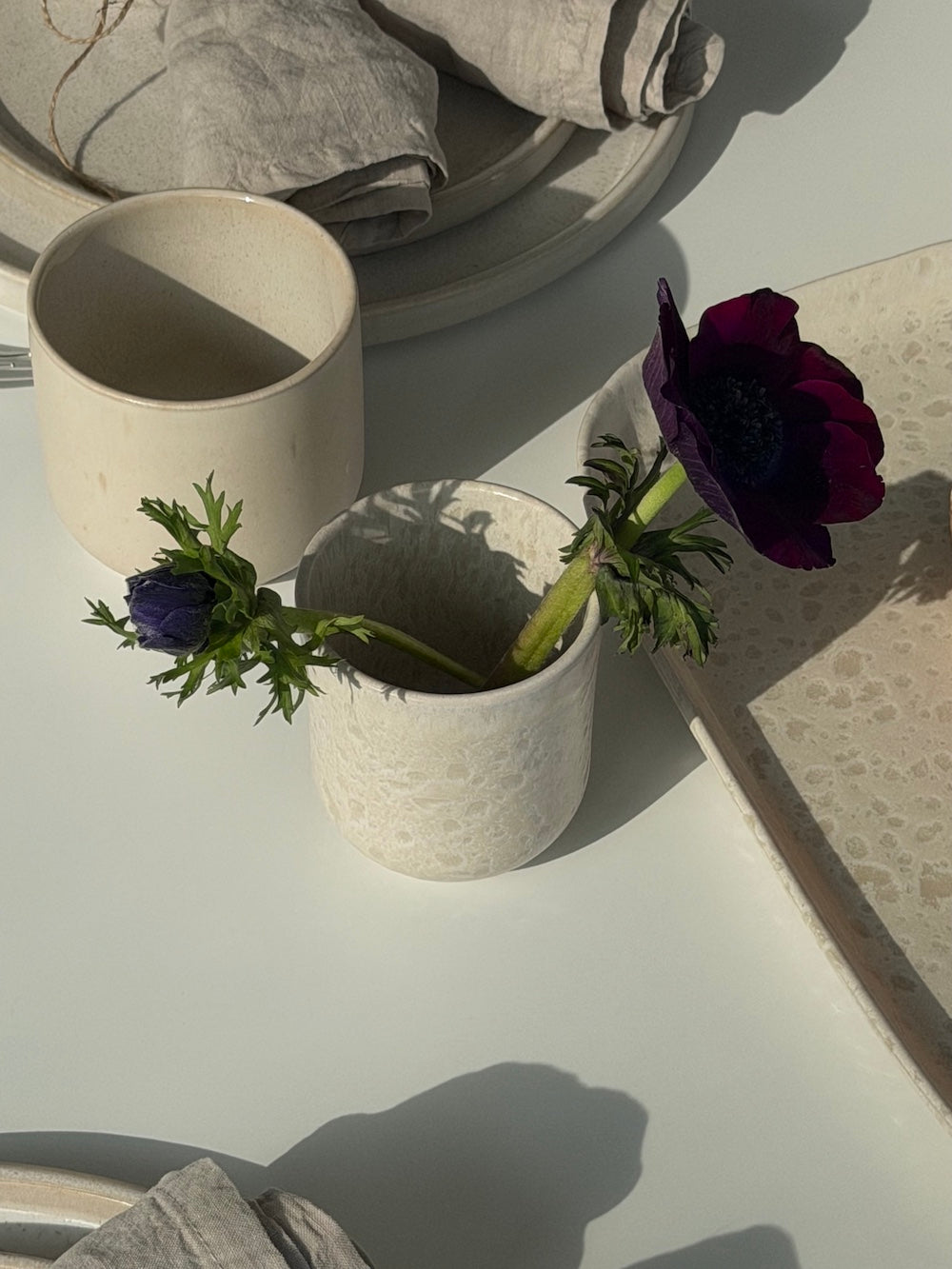 Bento 6er Set Becher mittel